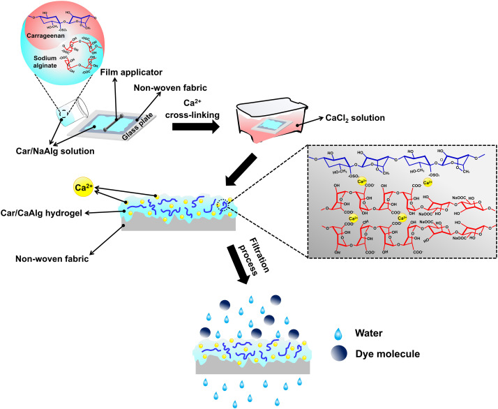 Carrageenan/calcium alginate composite hydrogel filtration membranes for efficient cationic dye separation 썸네일