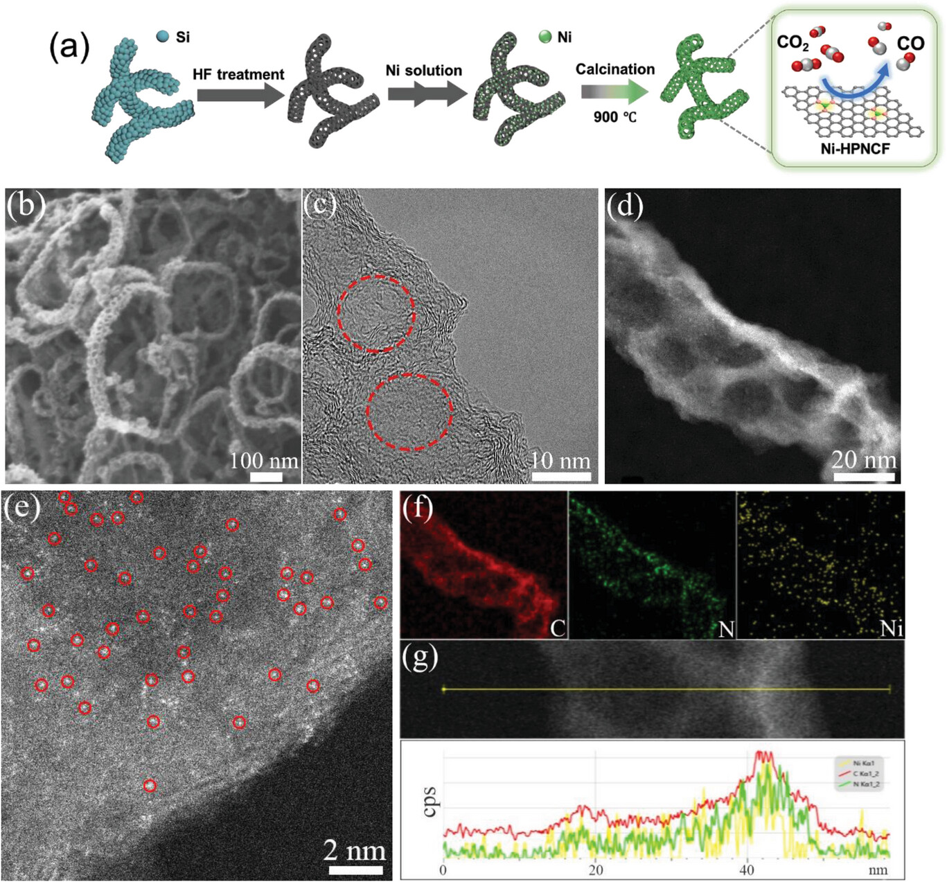 Geometric and Electronic Structural Engineering of Isolated Ni Single Atoms for a Highly Efficient CO2 Electroreduction