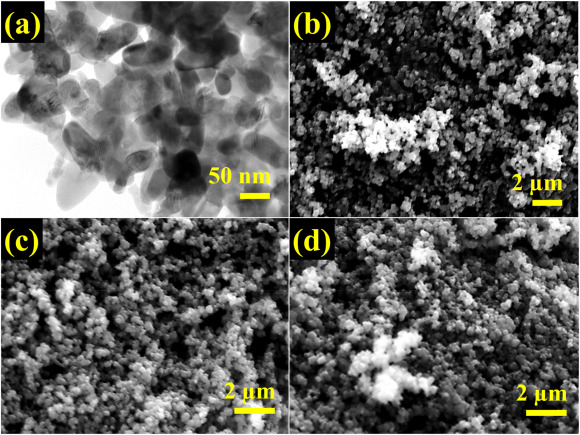 Polypyrrole/zeolite composite – A nanoadsorbent for reactive dyes removal from synthetic solution