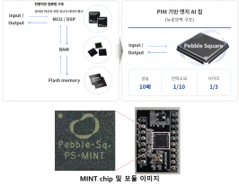 MINT chip 및 모듈 이미지.jpg