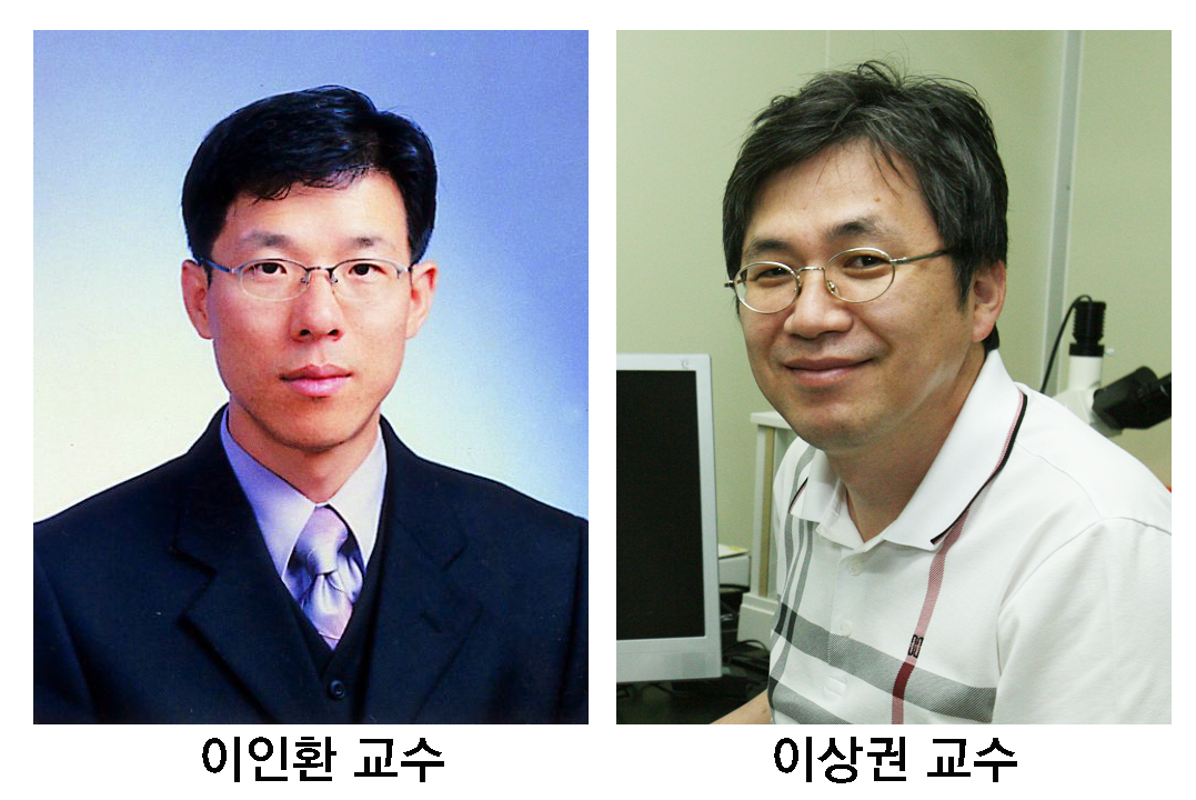 이인환 교수팀, 이상권 교수팀, 교과부 기초연구실사업 선정 썸네일