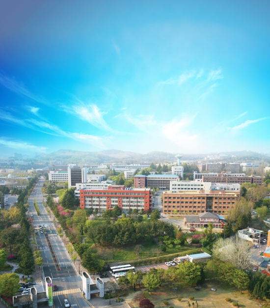 우리대학, 세계 대학평가 '국내 8위' 쾌거 썸네일