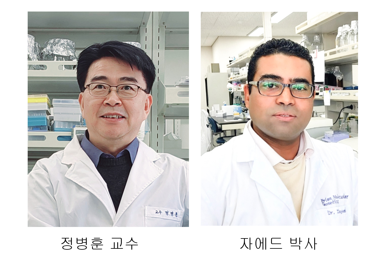 정병훈 교수팀, 치명률 100% 프리온질환 세포 사멸 기전 규명 썸네일