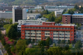  게시글 썸네일