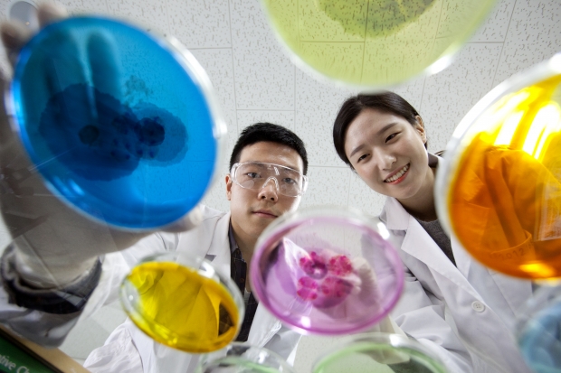 우리대학 교수진, 12월 한 달 56건 연구사업 수주 썸네일