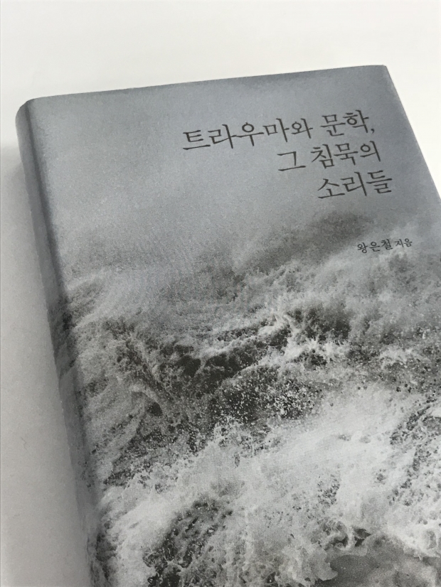 왕은철 교수 저서 '세종도서' 선정 썸네일